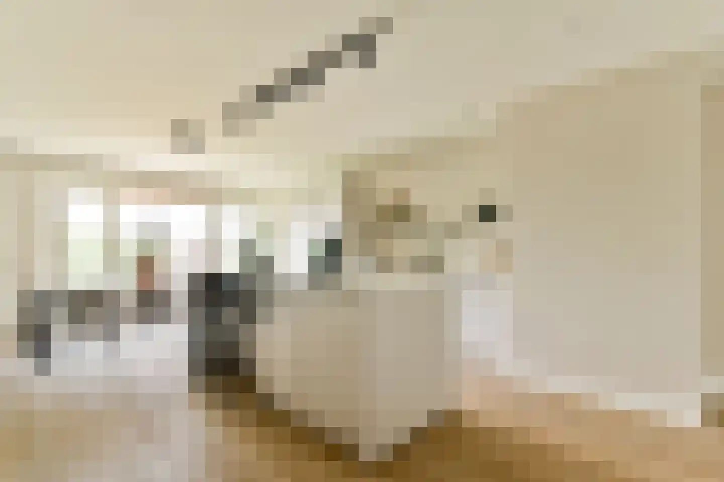 Theodoor van Hoytemastraat 37 Amsterdam thumbnail 8