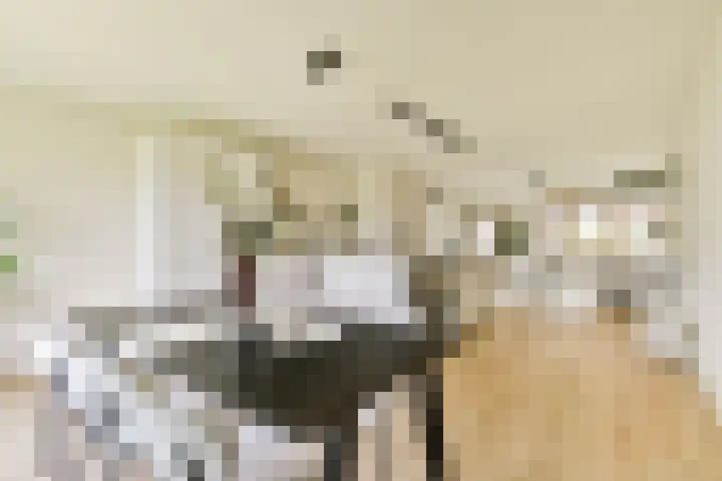 Theodoor van Hoytemastraat 37 Amsterdam thumbnail 9