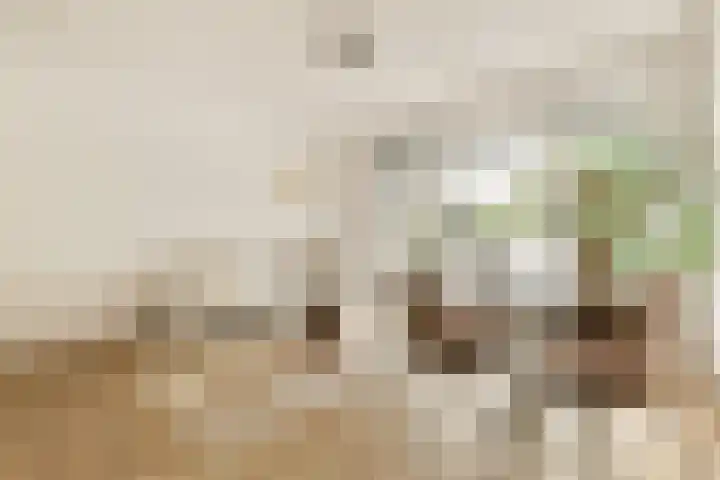 Theodoor van Hoytemastraat 38 Amsterdam thumbnail 7