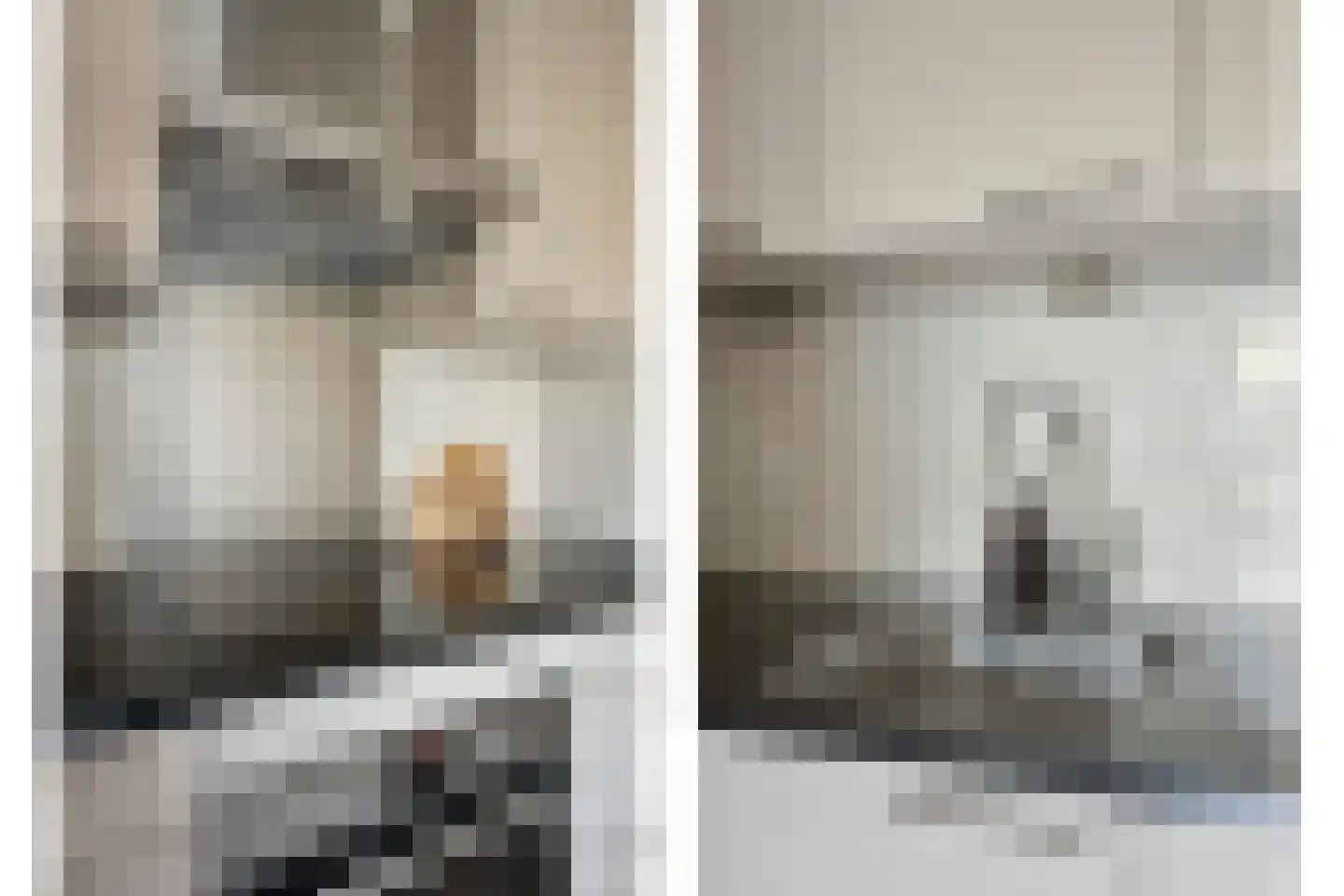 Theodoor van Hoytemastraat 40 Amsterdam thumbnail 8