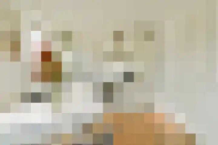 Theodoor van Hoytemastraat 68 Amsterdam thumbnail 4