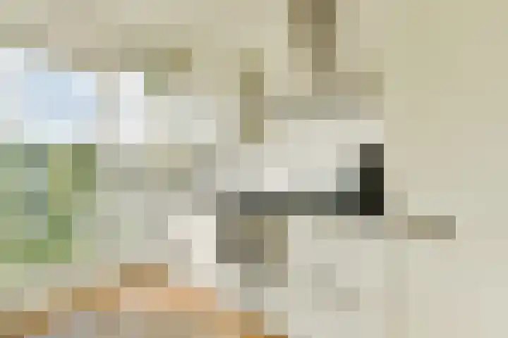 Theodoor van Hoytemastraat 68 Amsterdam thumbnail 5