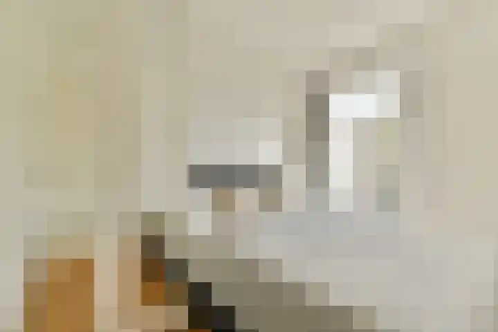 Theodoor van Hoytemastraat 68 Amsterdam thumbnail 7