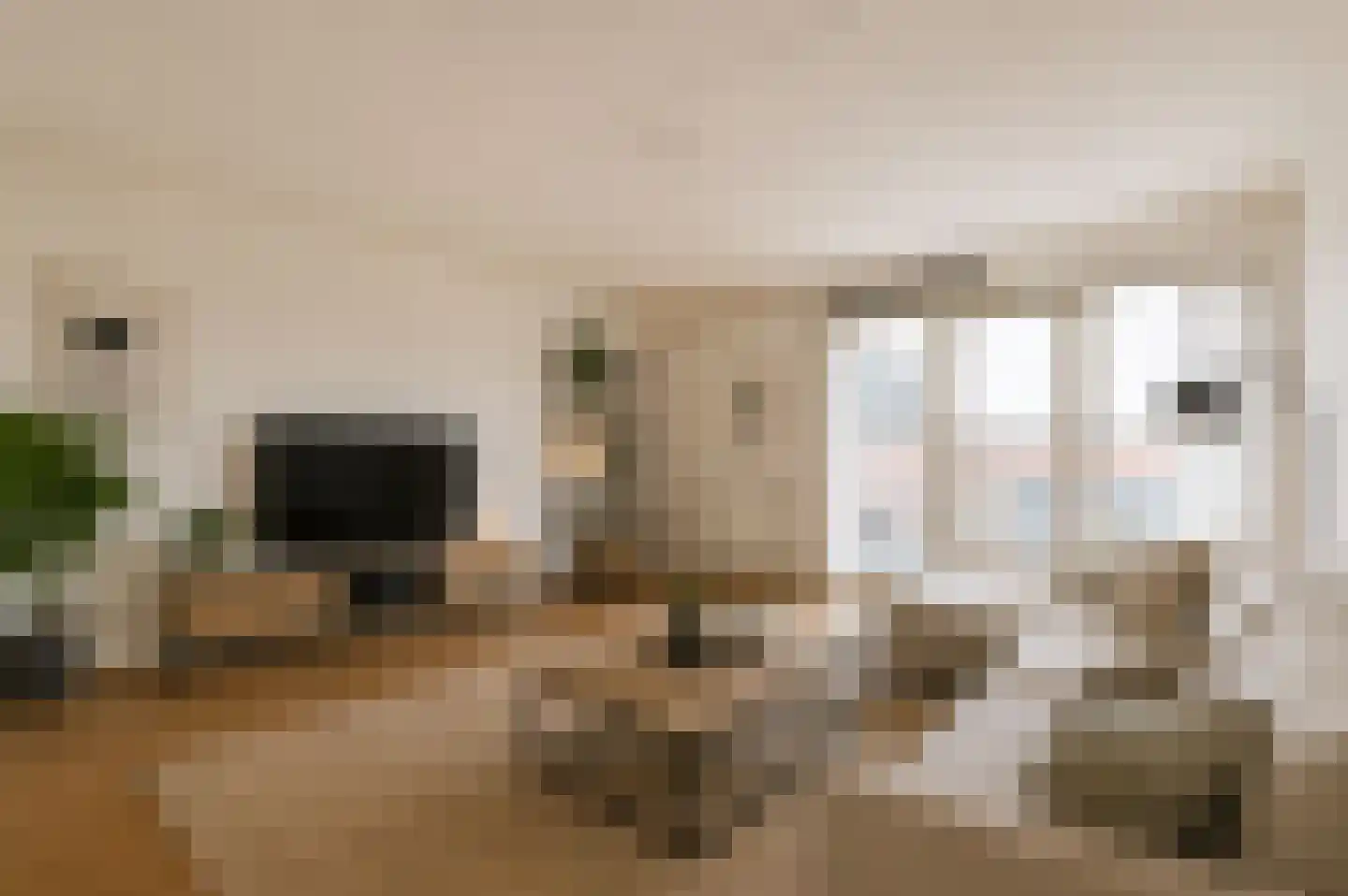 Theodoor van Hoytemastraat 79 Amsterdam thumbnail 4