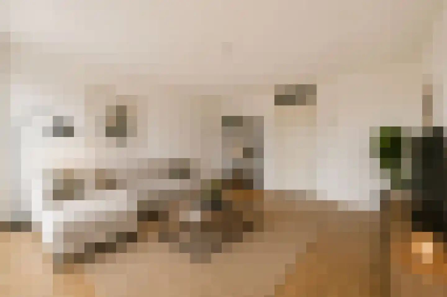 Theodoor van Hoytemastraat 79 Amsterdam thumbnail 6