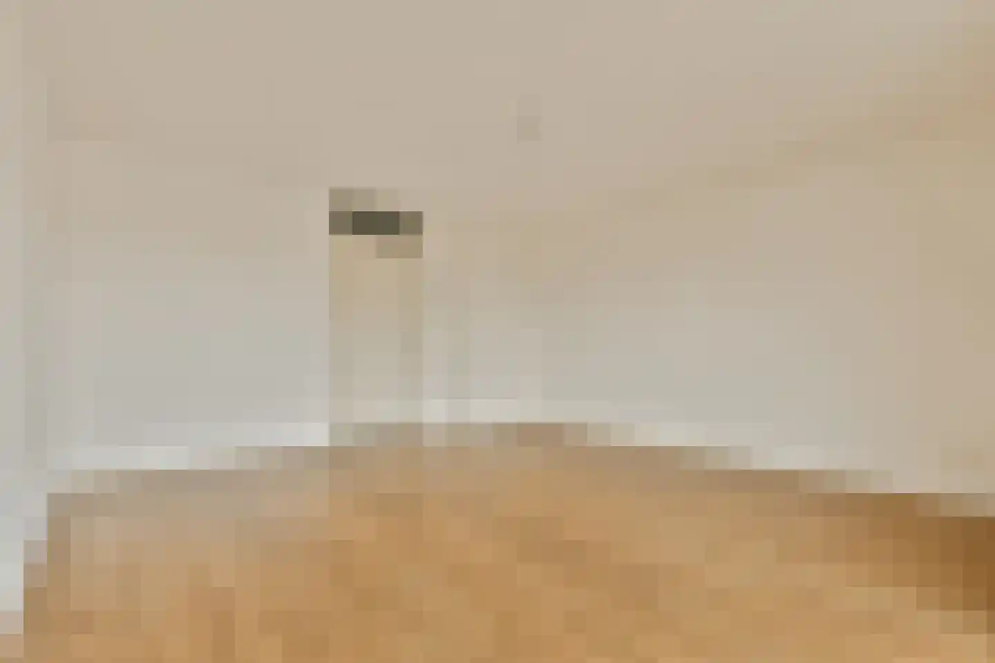 Theodoor van Hoytemastraat 79 Amsterdam thumbnail 7