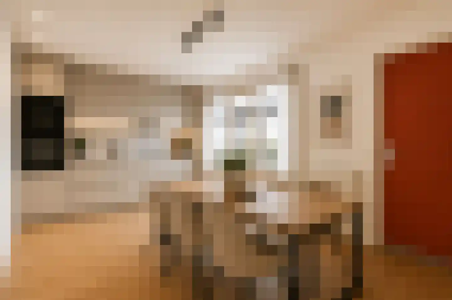 Theodoor van Hoytemastraat 79 Amsterdam thumbnail 9