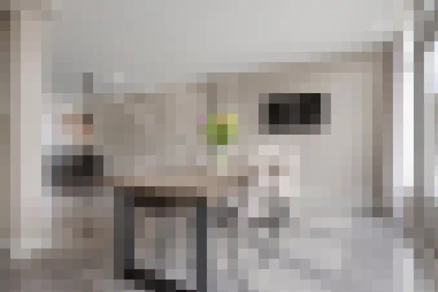 Theodoor van Thuldenstraat 18 Vlijmen thumbnail 16