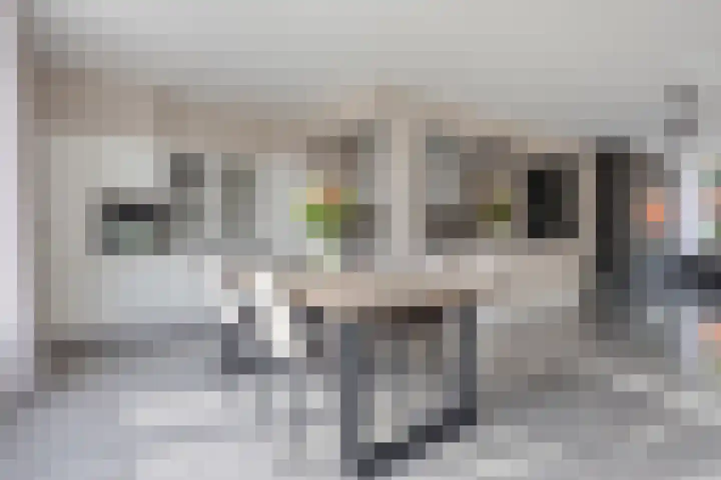 Theodoor van Thuldenstraat 18 Vlijmen thumbnail 17