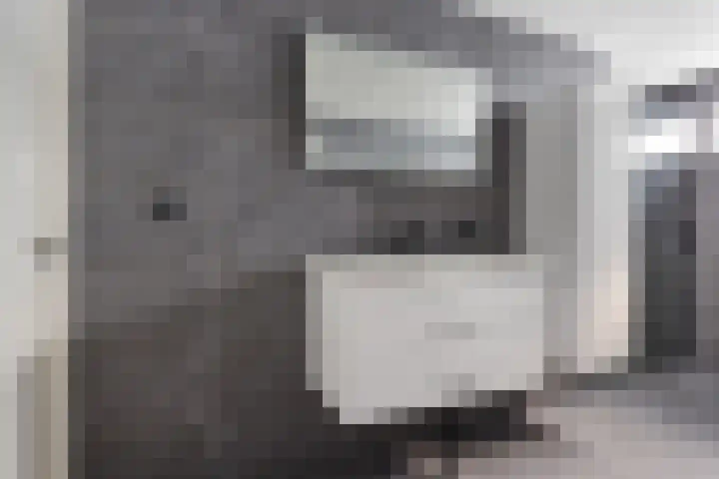 Theodoor van Thuldenstraat 18 Vlijmen thumbnail 25