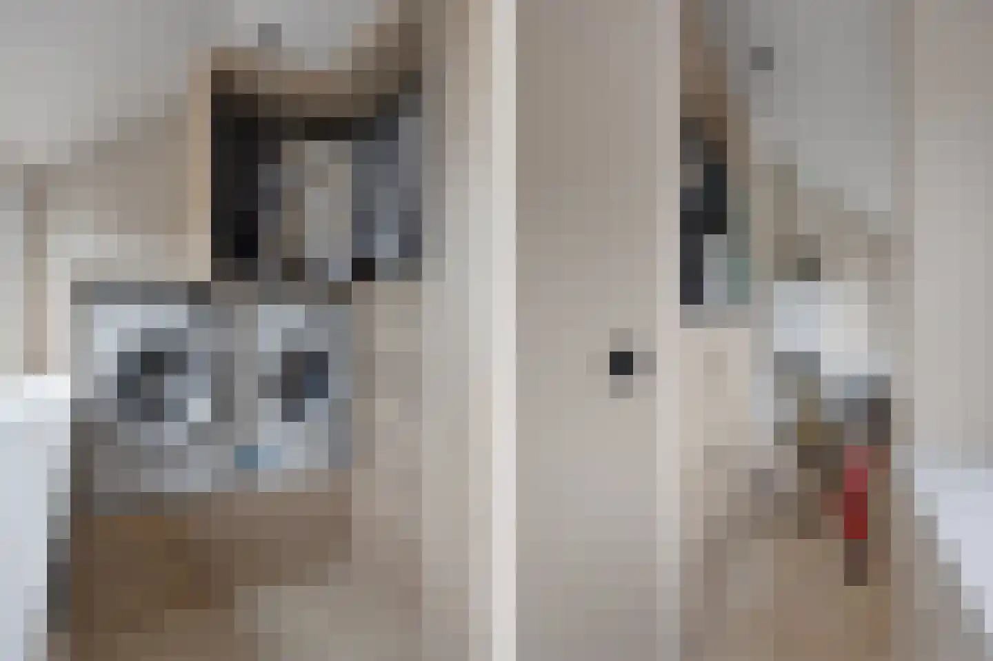 Theodoor van Thuldenstraat 18 Vlijmen thumbnail 31