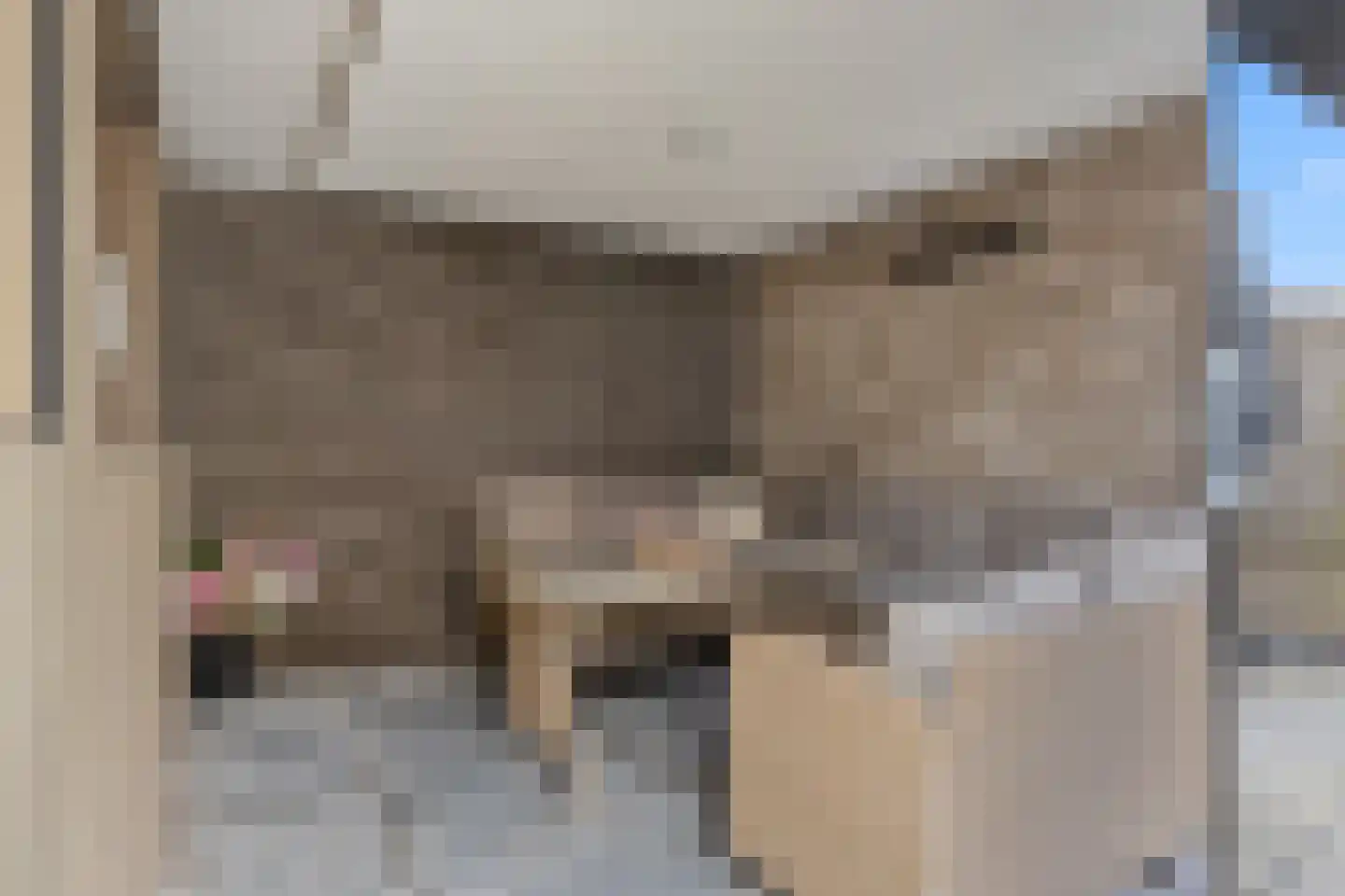 Theodoor van Thuldenstraat 18 Vlijmen thumbnail 37