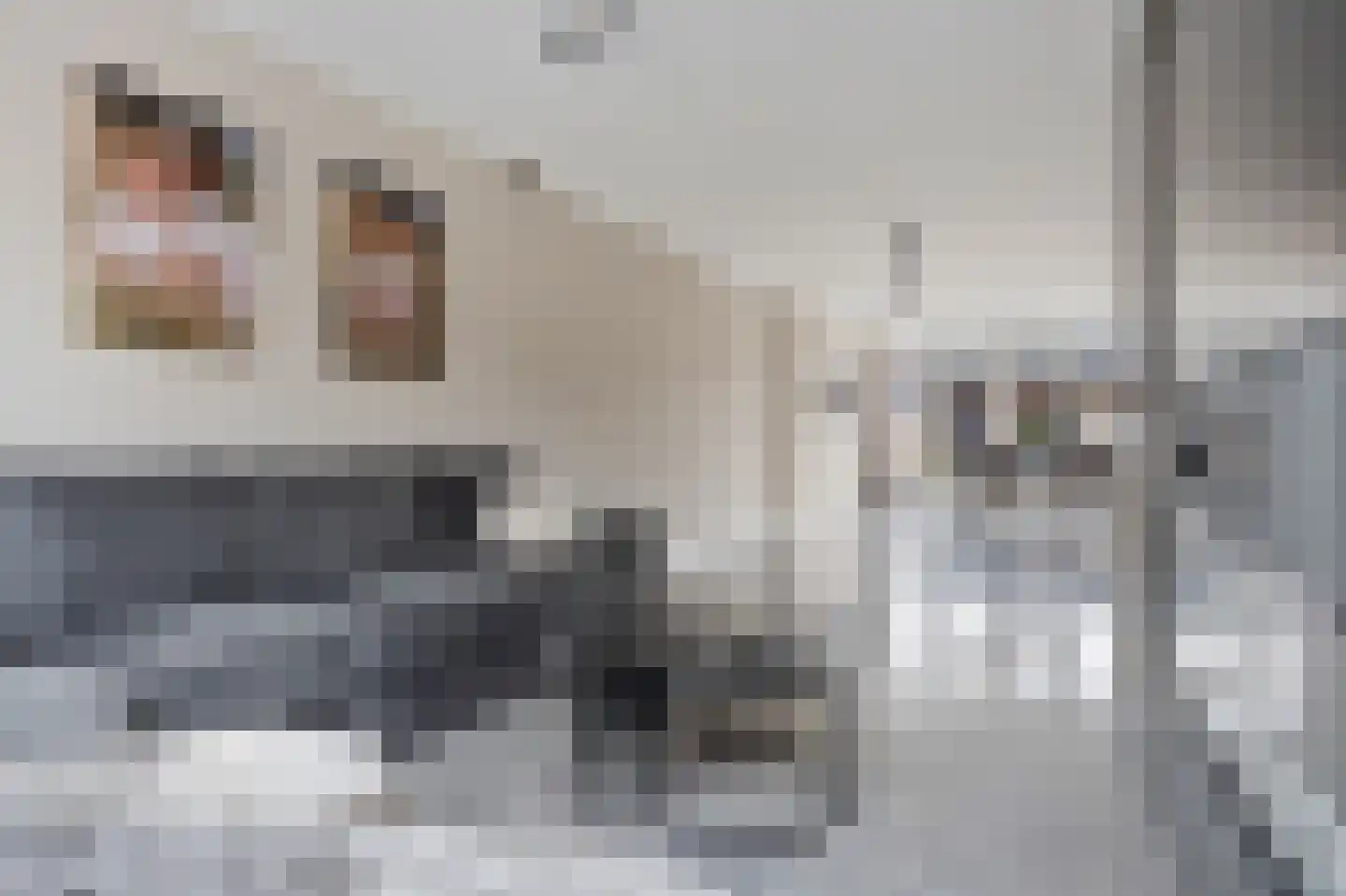 Theodoor van Thuldenstraat 18 Vlijmen thumbnail 8