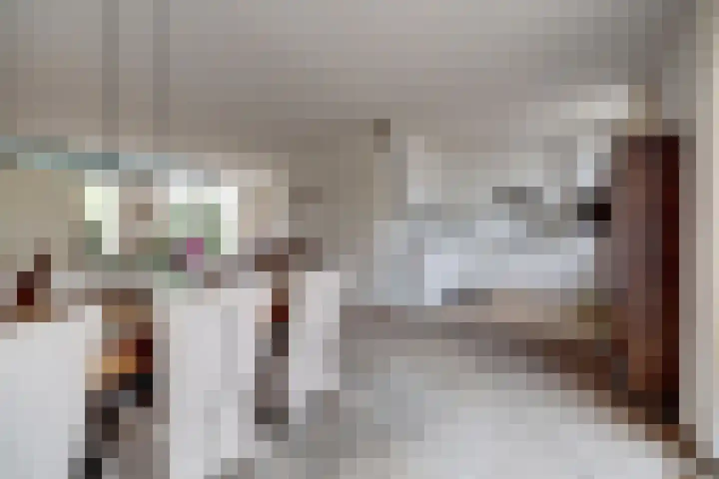 Theodoorstraat 2 Dongen thumbnail 13