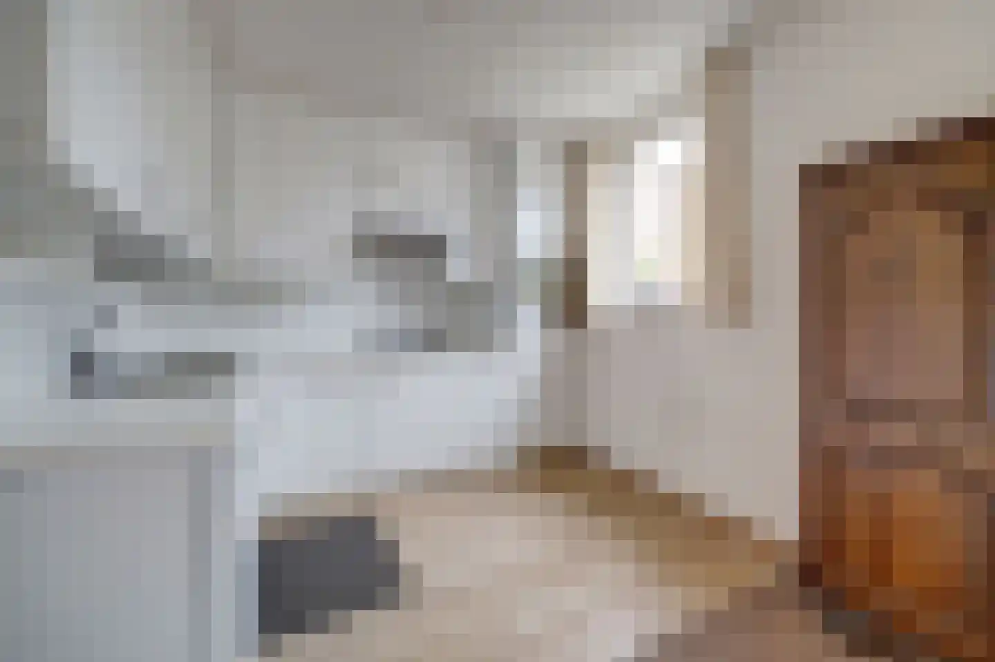 Theodoorstraat 2 Dongen thumbnail 15