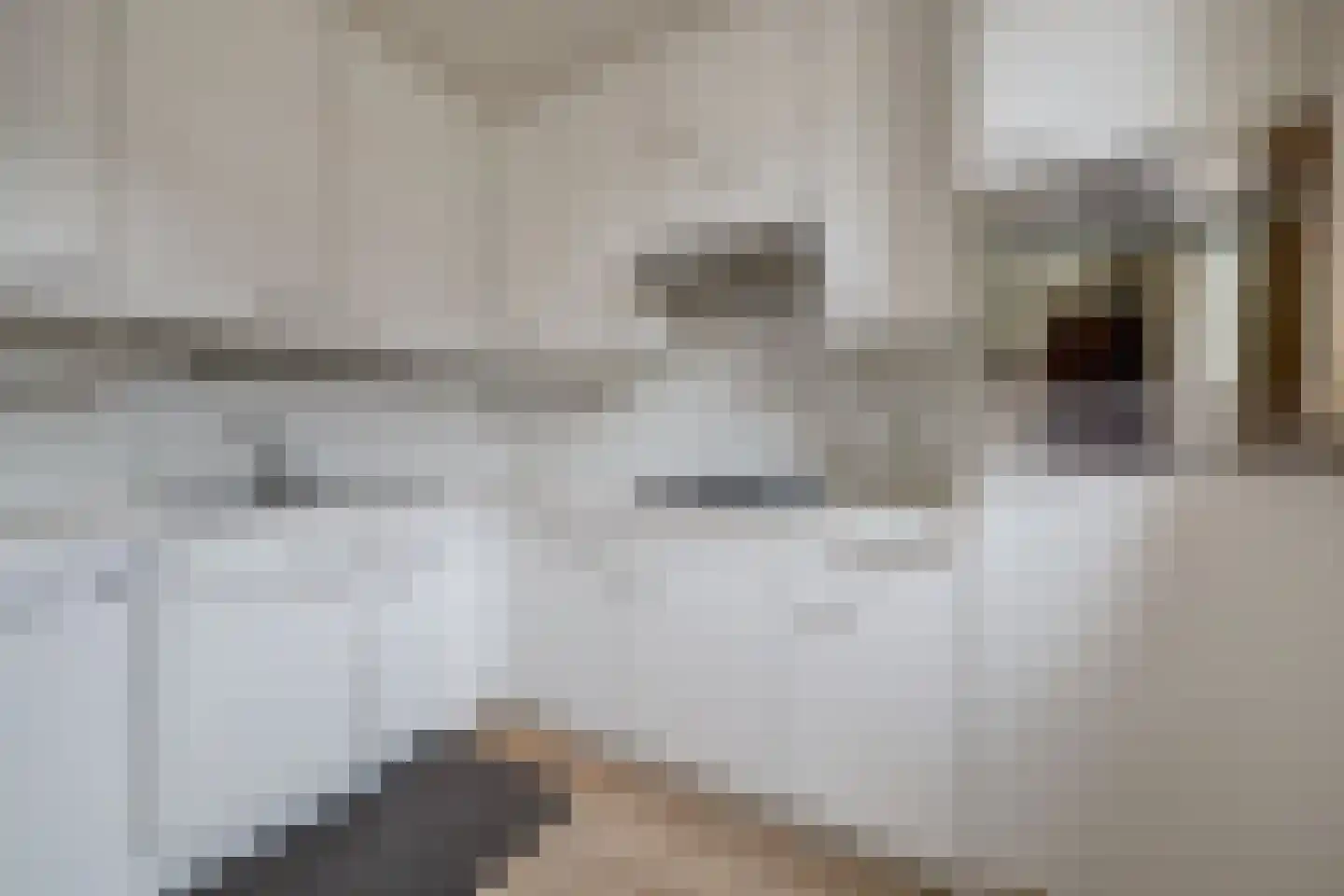 Theodoorstraat 2 Dongen thumbnail 16