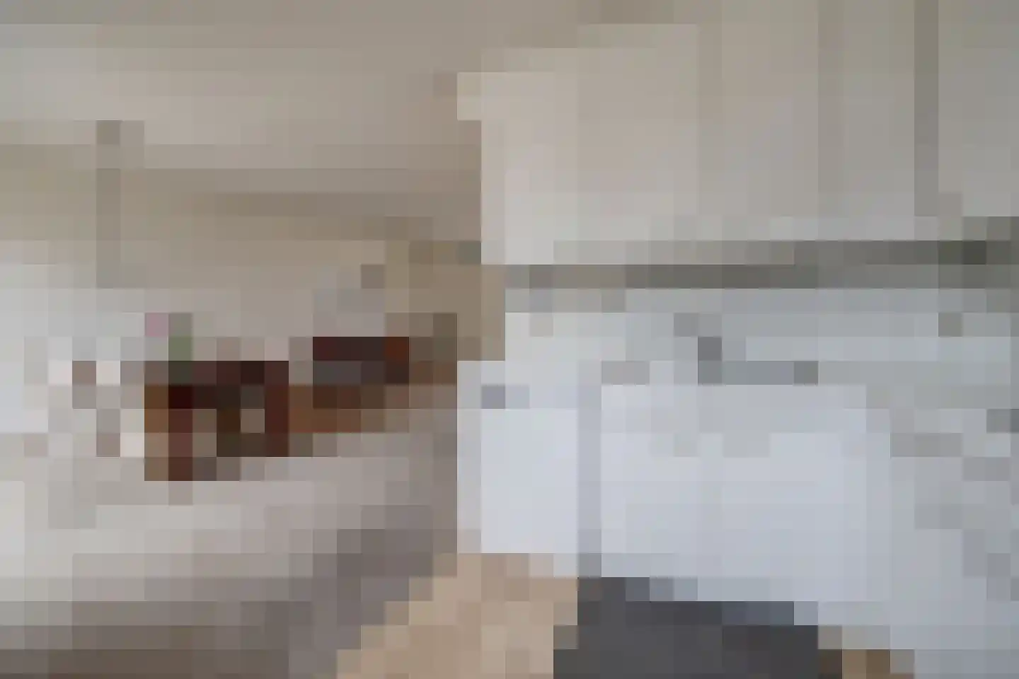 Theodoorstraat 2 Dongen thumbnail 17
