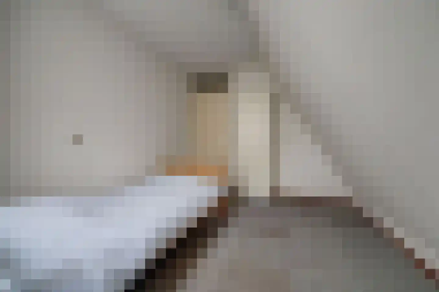 Theodoorstraat 2 Dongen thumbnail 25