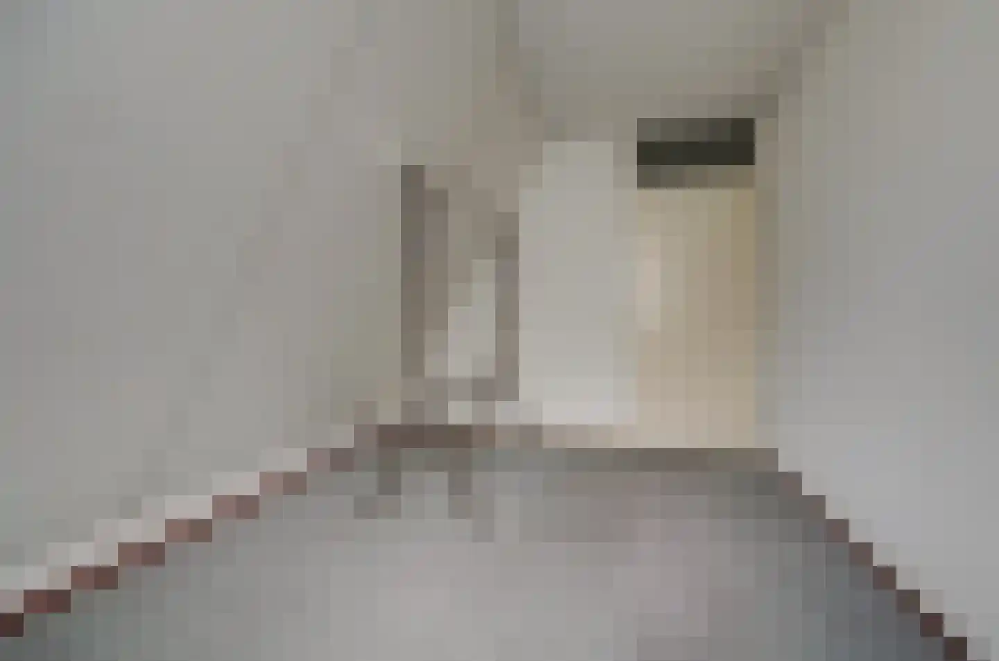 Theodoorstraat 2 Dongen thumbnail 28