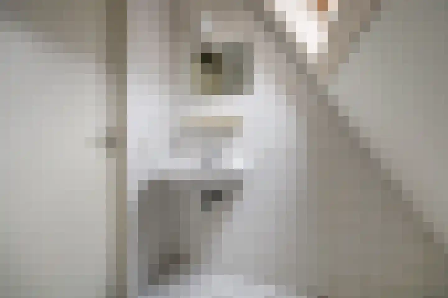 Theodoorstraat 2 Dongen thumbnail 30