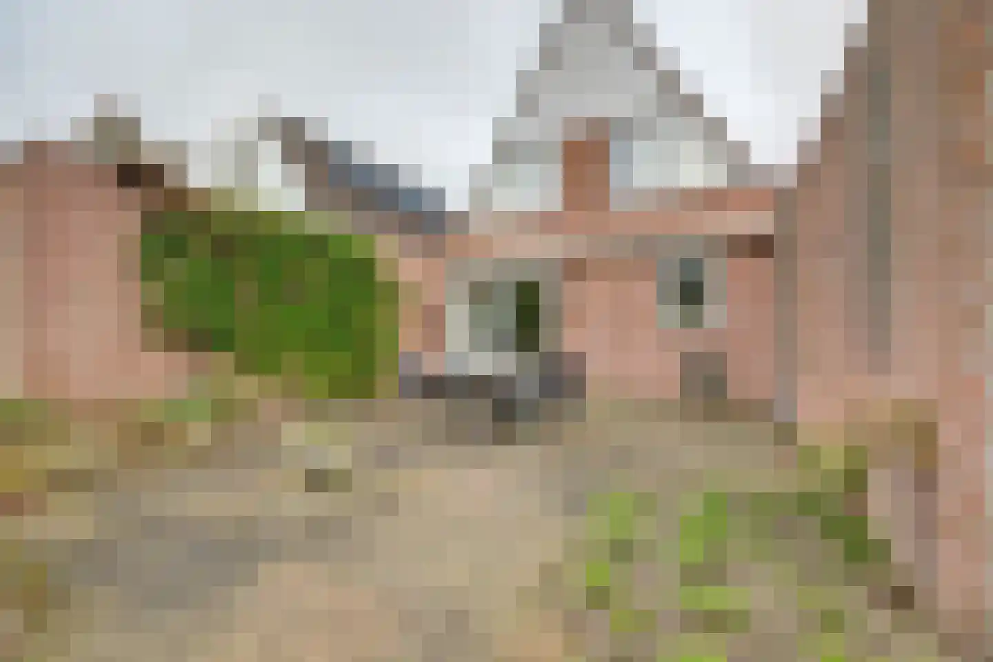 Theodoorstraat 2 Dongen thumbnail 36