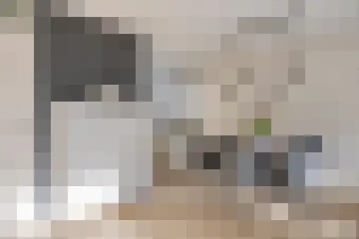 Theodora Bouwmeesterstraat 16 Zutphen thumbnail 8
