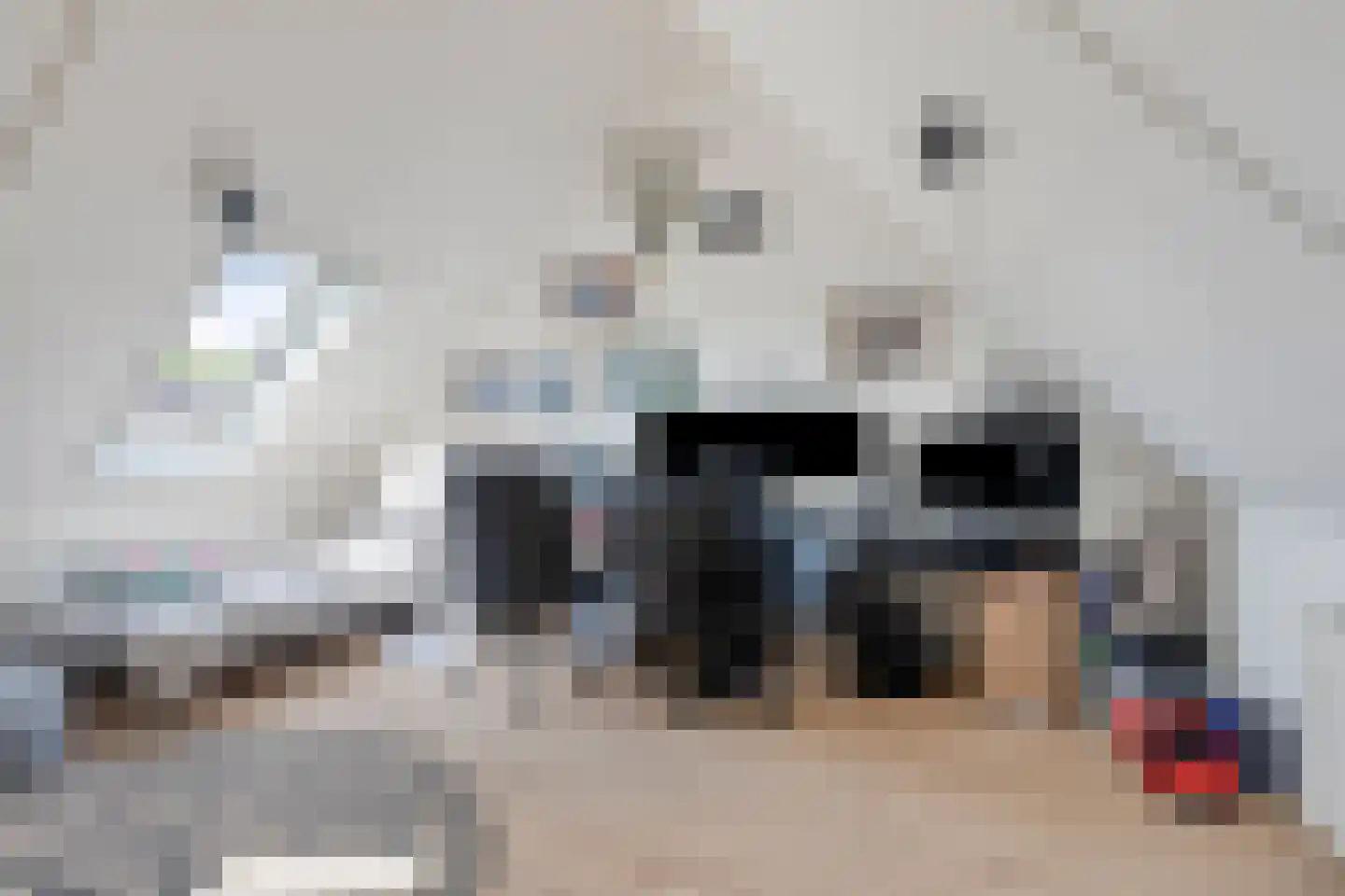 Theodora Bouwmeesterstraat 23 Zutphen thumbnail 22