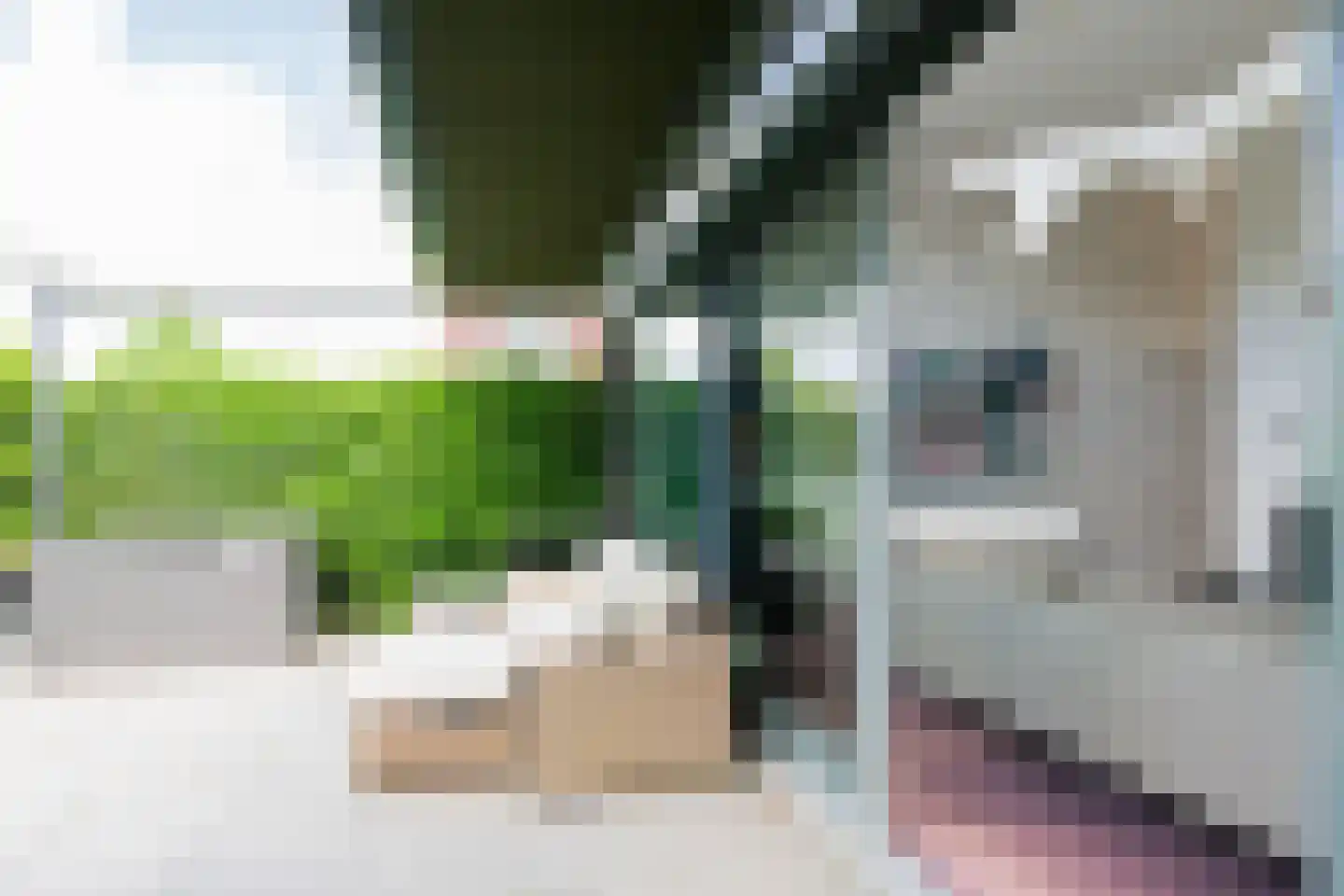 Theodora Ellentslaan 1 Eelderwolde thumbnail 22