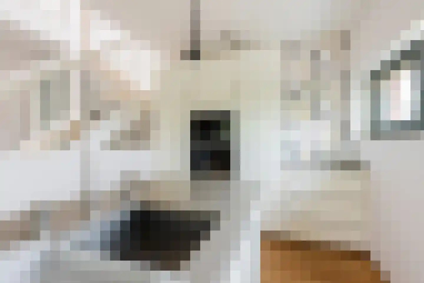 Theodora Ellentslaan 1 Eelderwolde thumbnail 27
