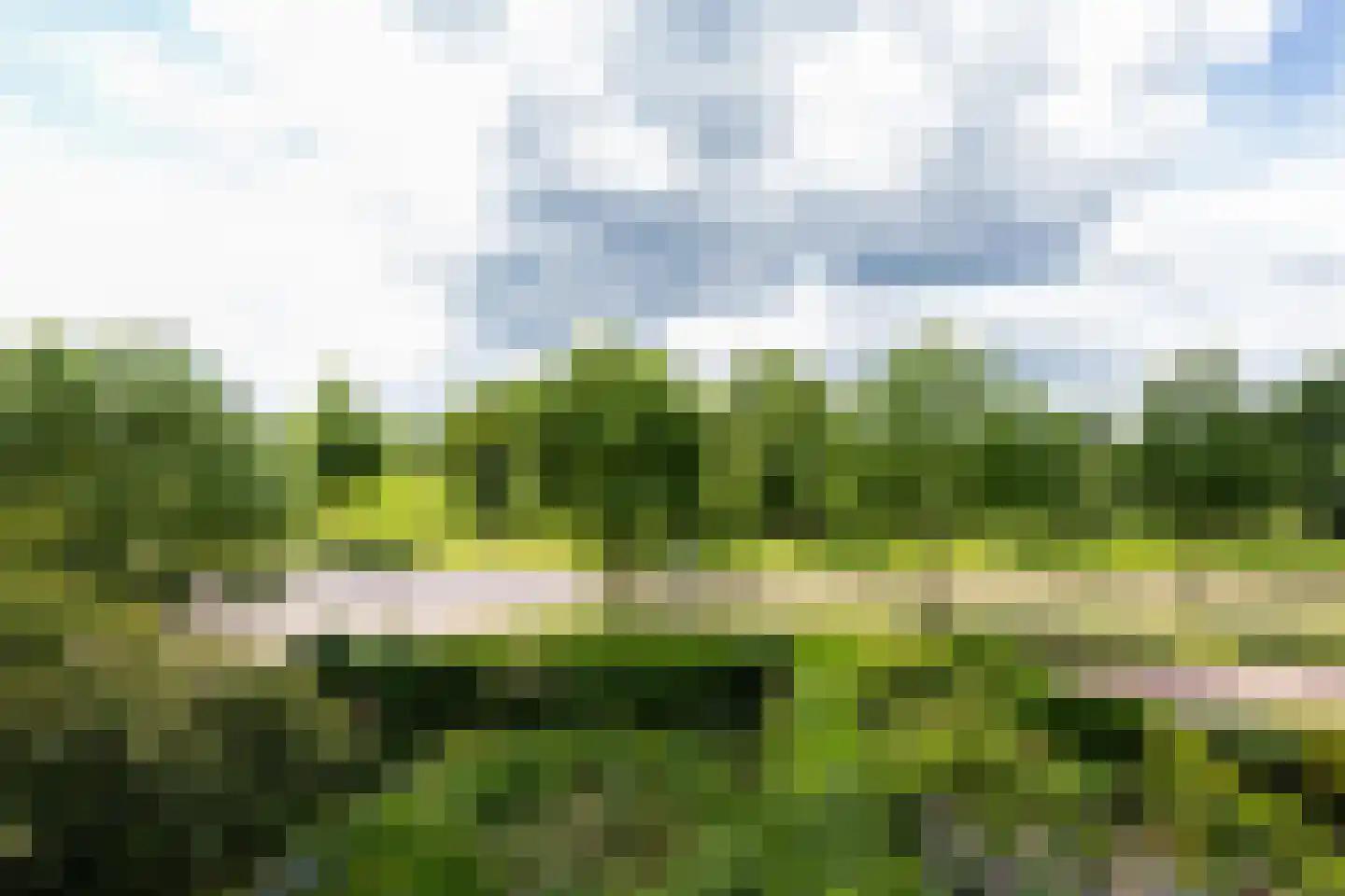 Theodora Ellentslaan 1 Eelderwolde thumbnail 34
