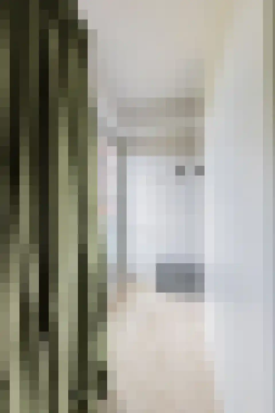 Theodora Ellentslaan 1 Eelderwolde thumbnail 38