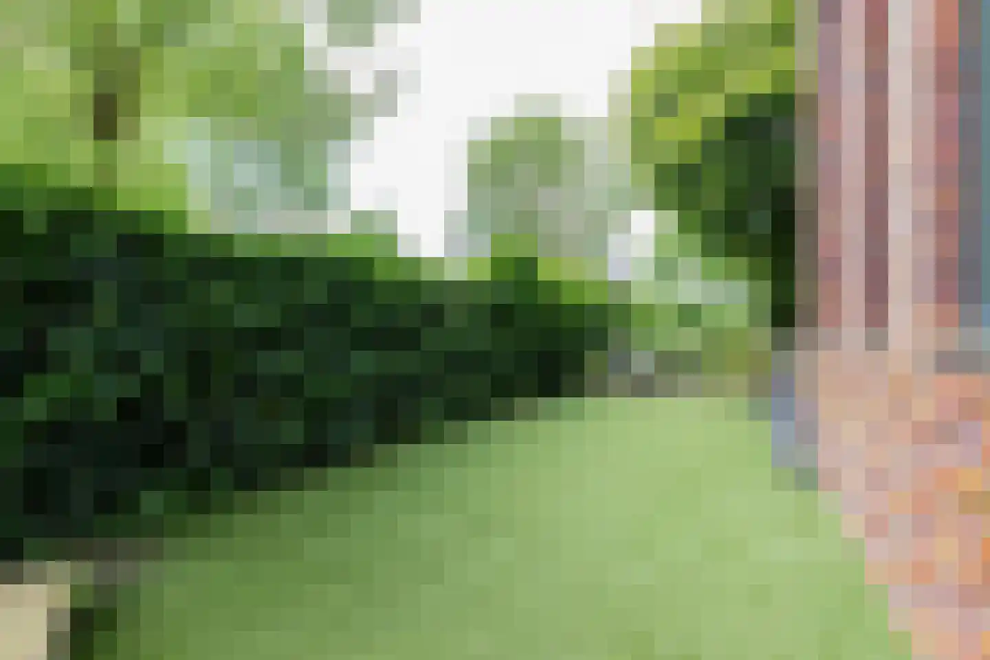 Theodora Ellentslaan 1 Eelderwolde thumbnail 51