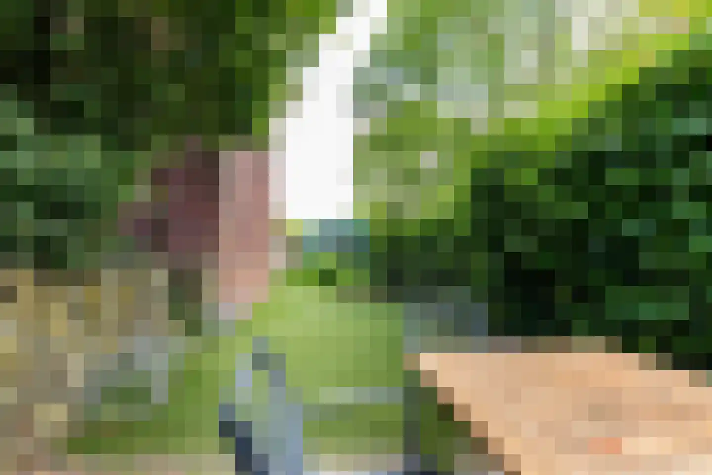 Theodora Ellentslaan 1 Eelderwolde thumbnail 52