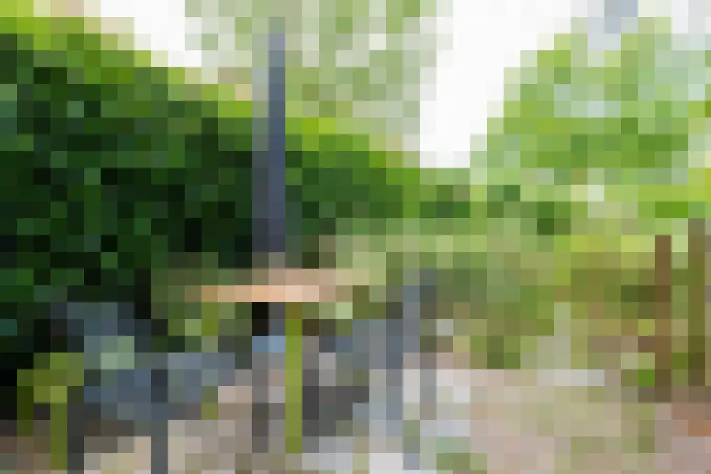 Theodora Ellentslaan 1 Eelderwolde thumbnail 52