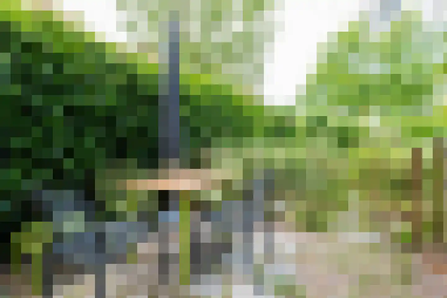 Theodora Ellentslaan 1 Eelderwolde thumbnail 53