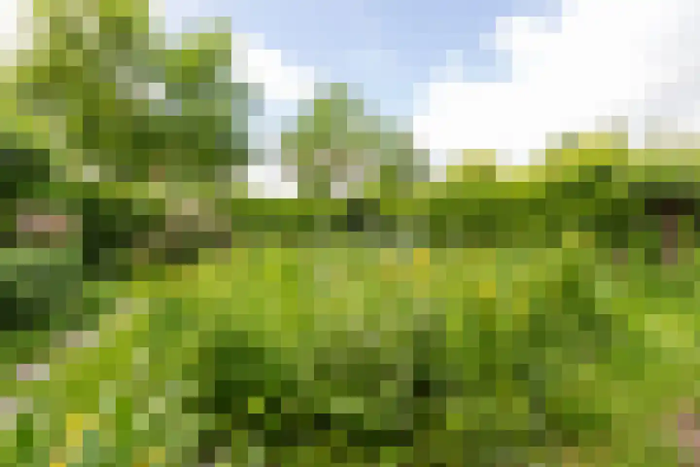 Theodora Ellentslaan 1 Eelderwolde thumbnail 54