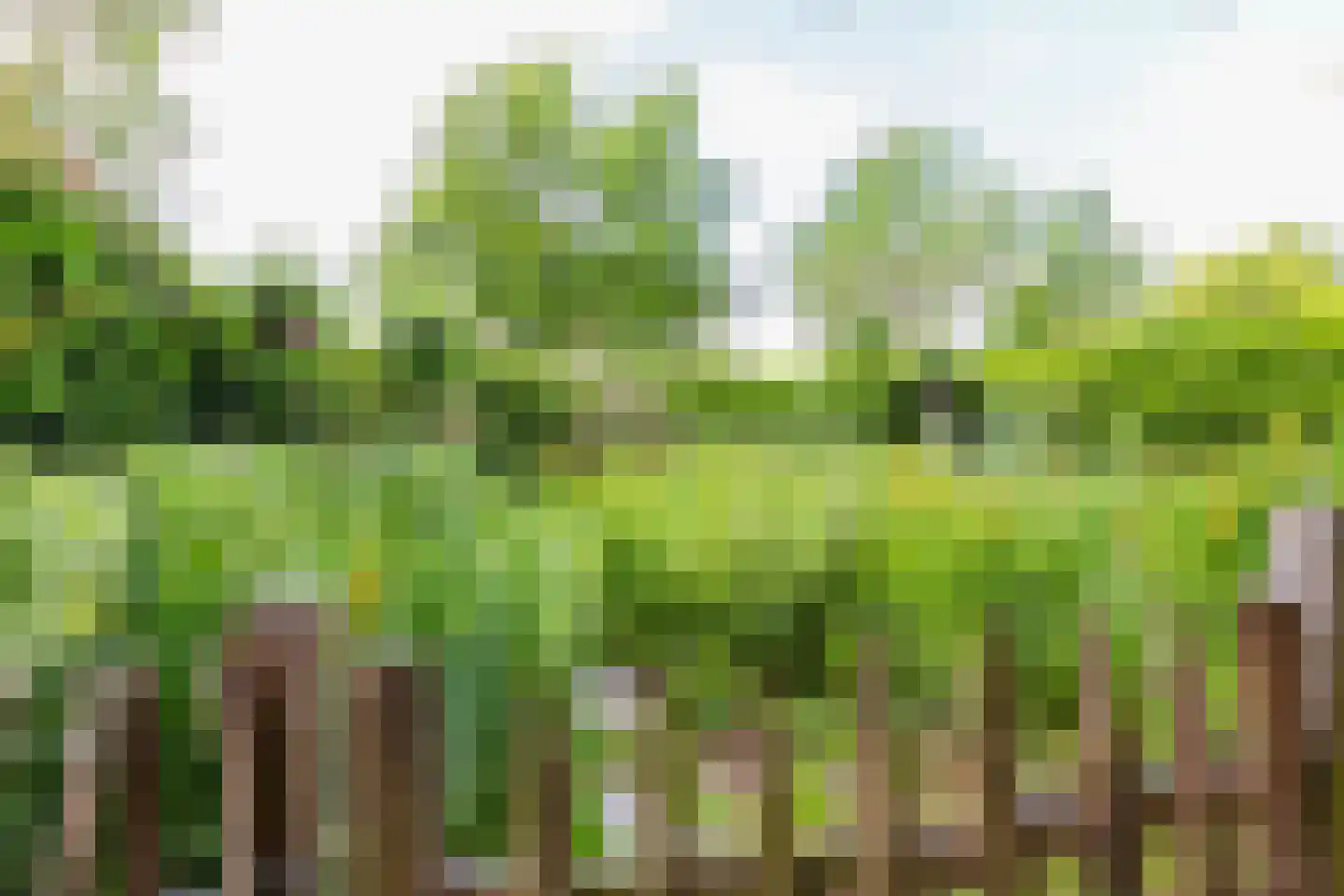 Theodora Ellentslaan 1 Eelderwolde thumbnail 54