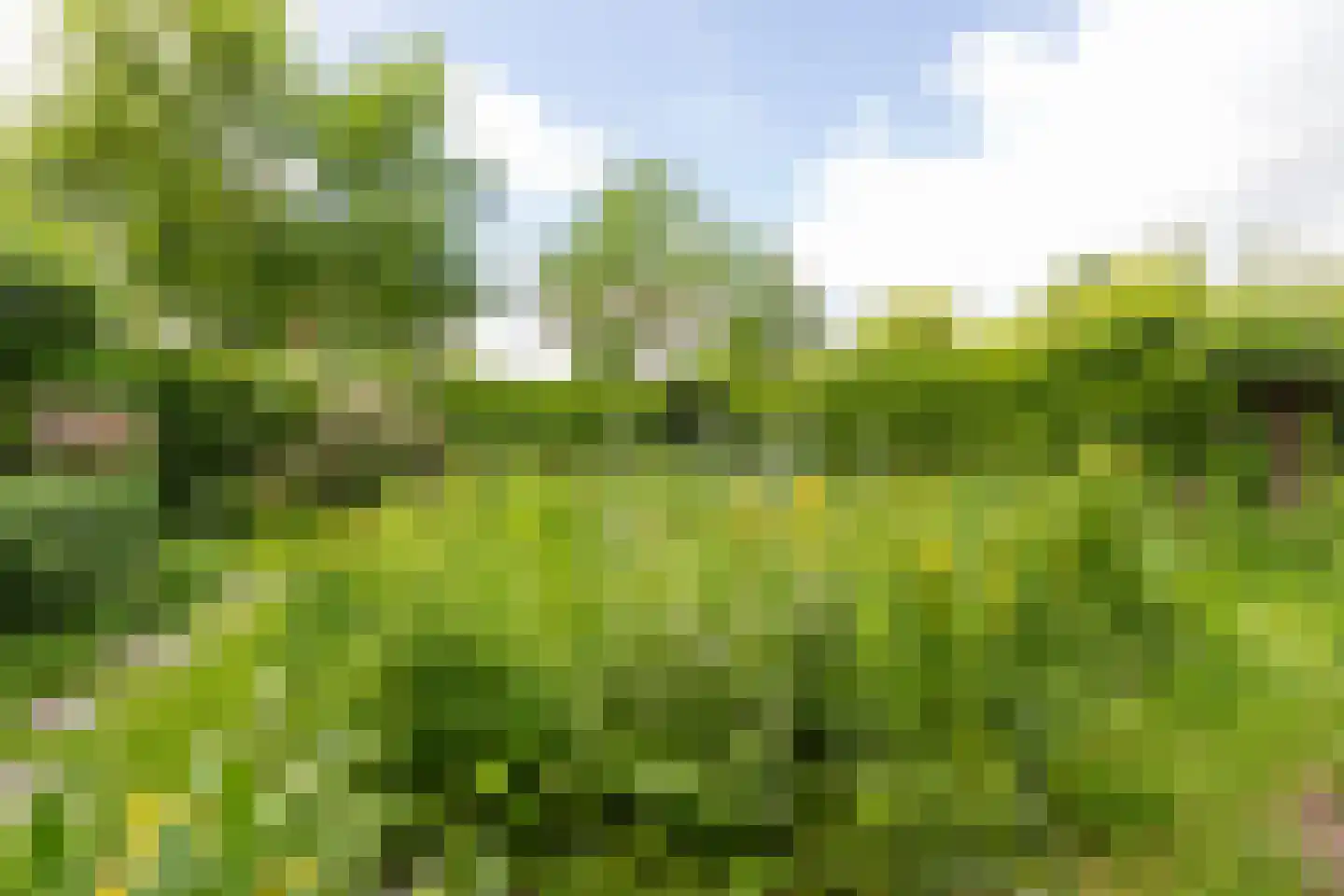 Theodora Ellentslaan 1 Eelderwolde thumbnail 55