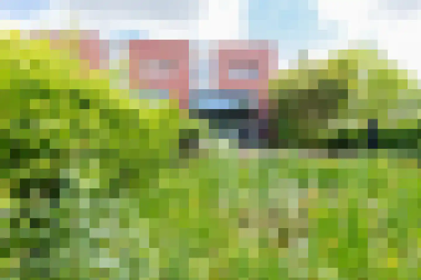 Theodora Ellentslaan 1 Eelderwolde thumbnail 62