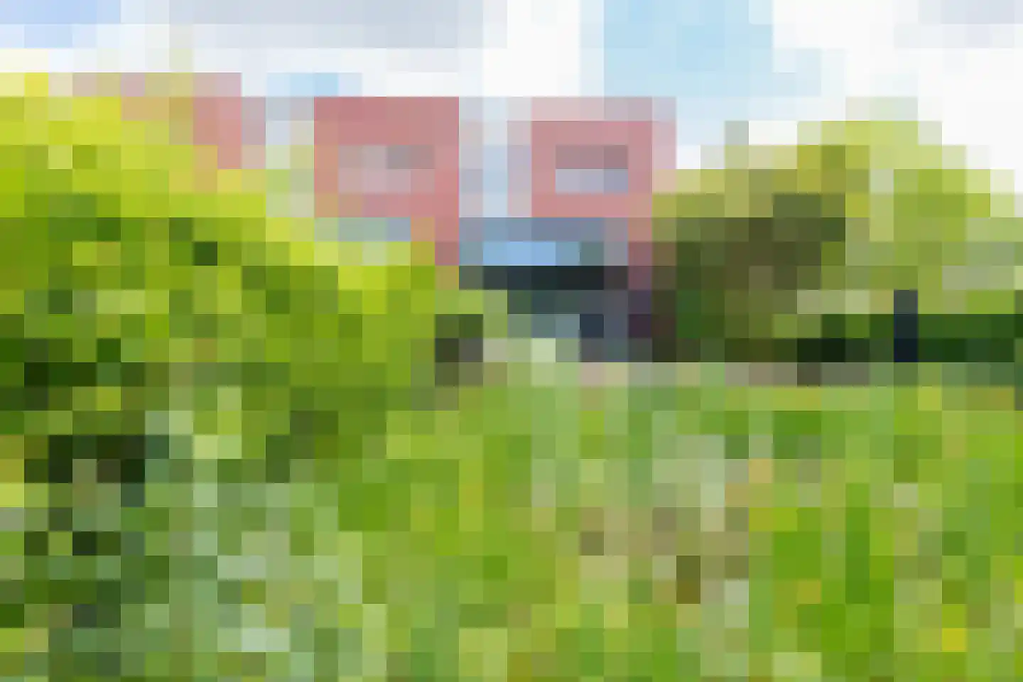Theodora Ellentslaan 1 Eelderwolde thumbnail 63
