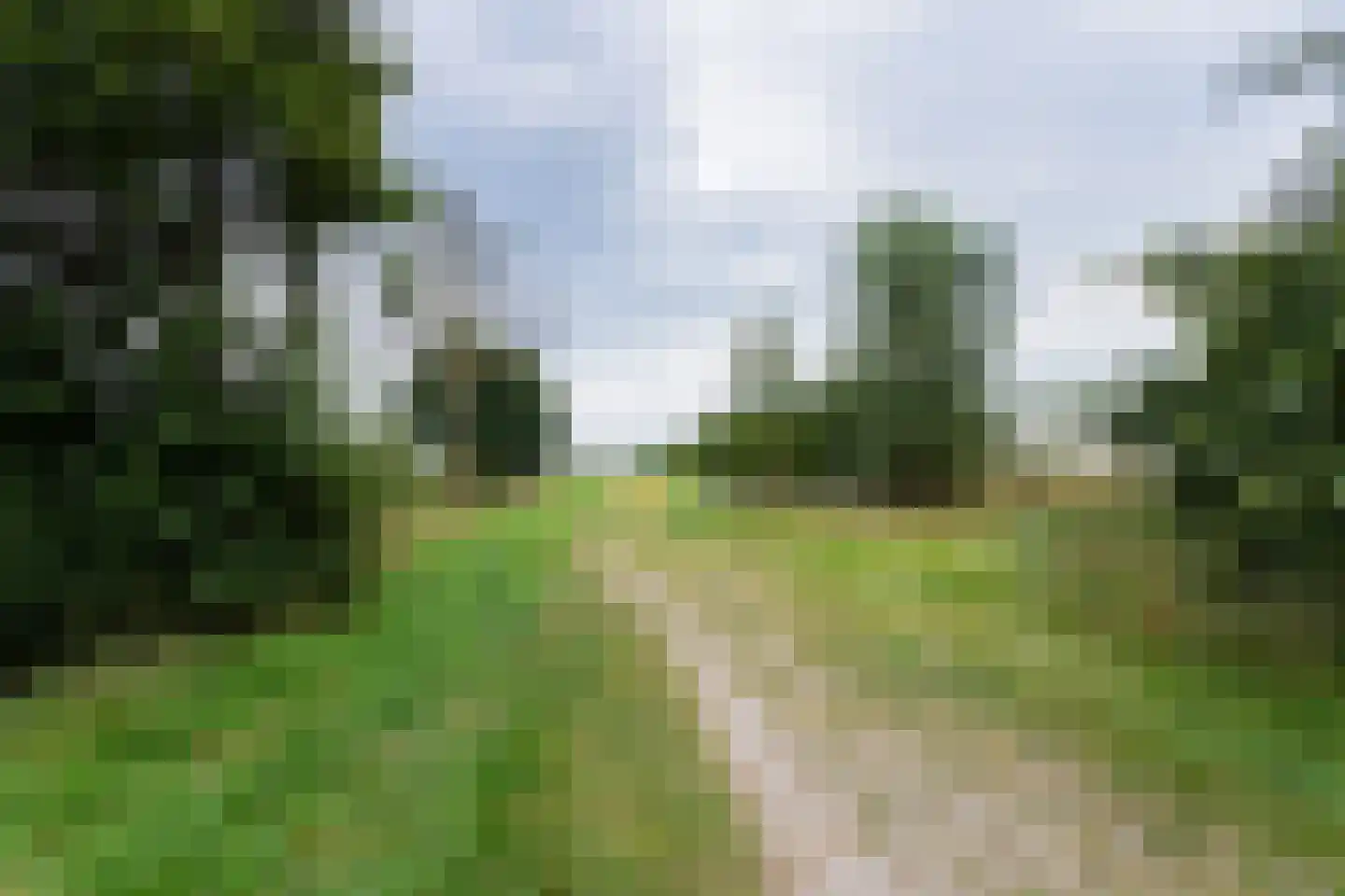 Theodora Ellentslaan 1 Eelderwolde thumbnail 64