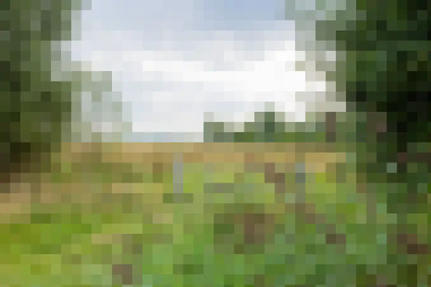 Theodora Ellentslaan 1 Eelderwolde thumbnail 64