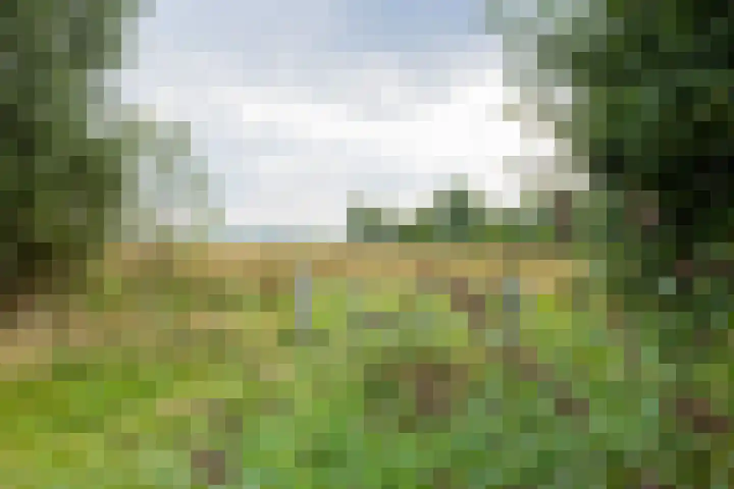 Theodora Ellentslaan 1 Eelderwolde thumbnail 65