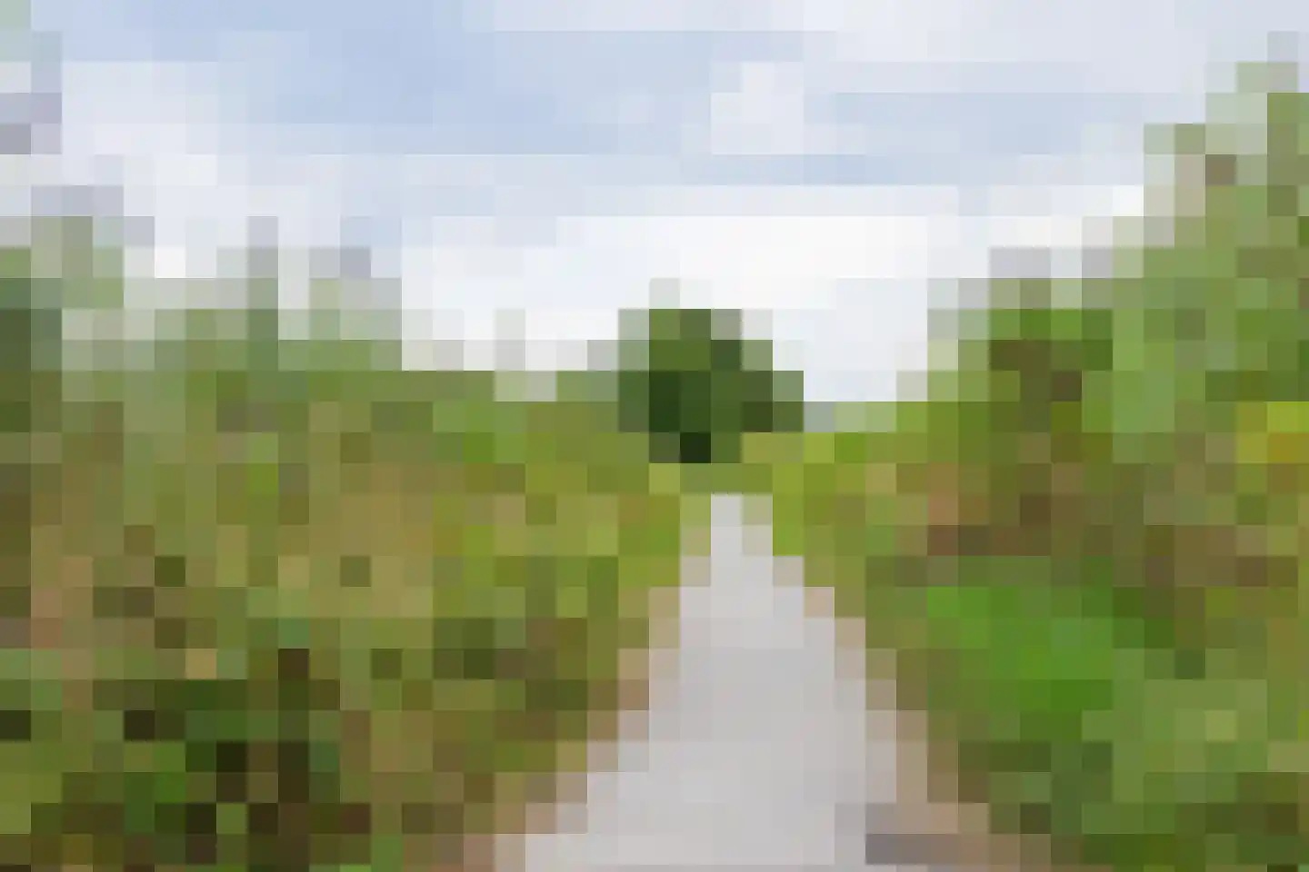 Theodora Ellentslaan 1 Eelderwolde thumbnail 66
