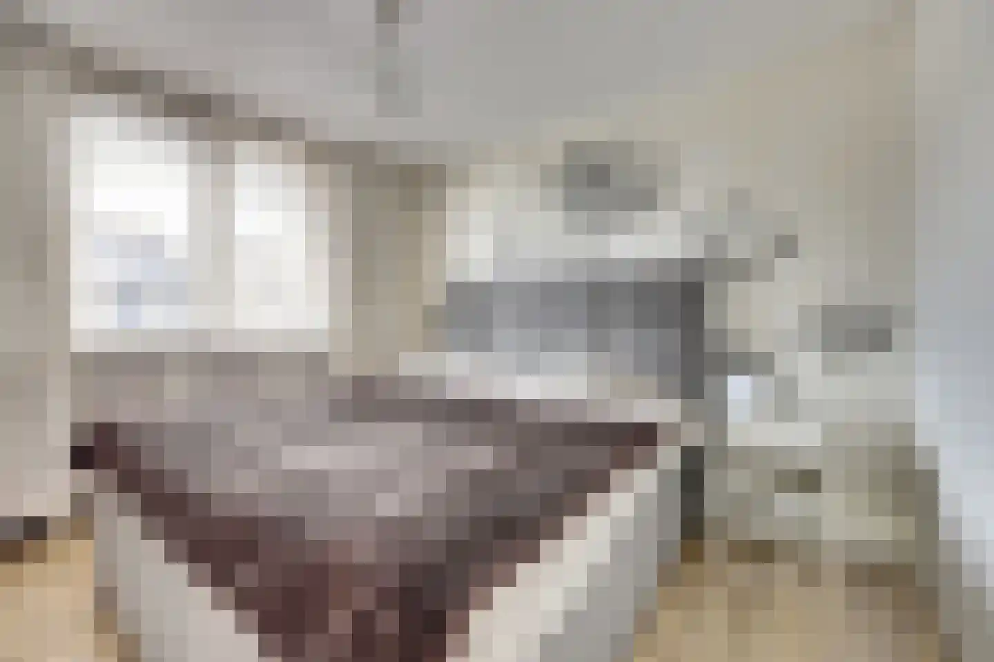 Theodora Haverstraat 19 Spijkenisse thumbnail 11