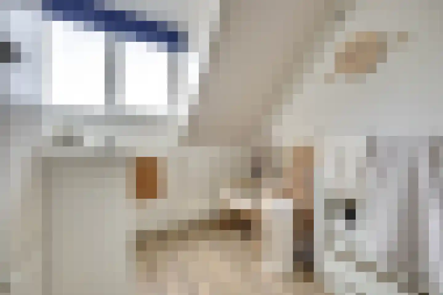 Theodora Haverstraat 19 Spijkenisse thumbnail 20