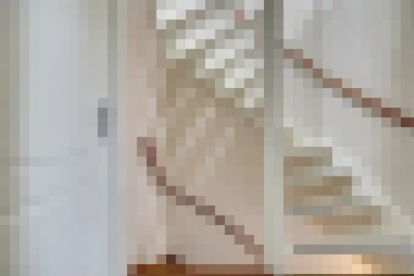 Theodora Haverstraat 19 Spijkenisse thumbnail 22