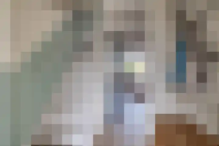 Theodora Haverstraat 8 Spijkenisse thumbnail 11
