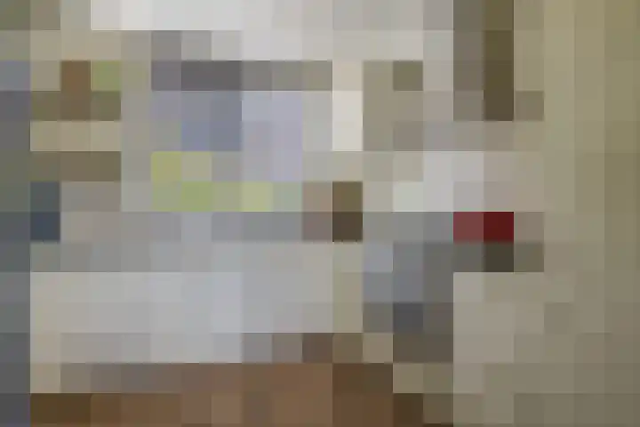 Theodora Haverstraat 8 Spijkenisse thumbnail 19