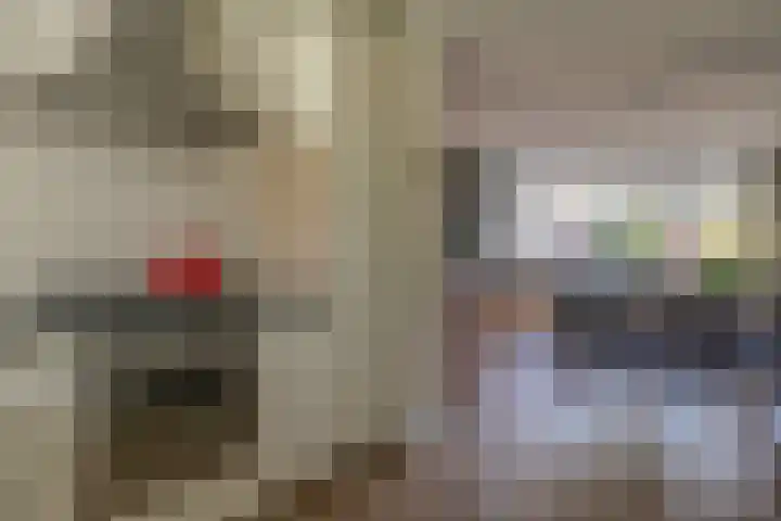 Theodora Haverstraat 8 Spijkenisse thumbnail 20